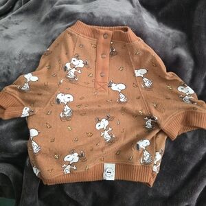 American Eagle/Beagle Outfitters Snoopy Dog Sweater - Size M